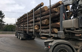 Export bois international