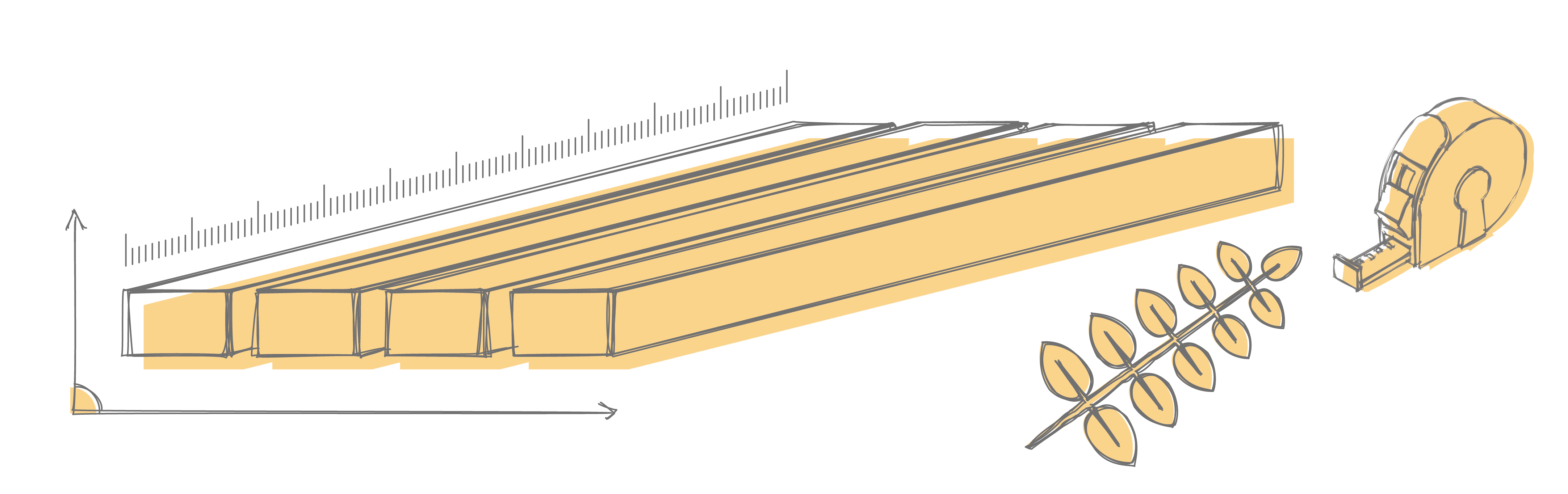 Carrelets frêne dessin